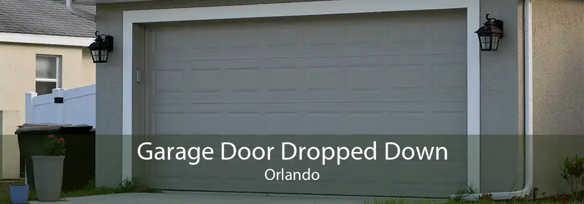 Garage Door Dropped Down Orlando