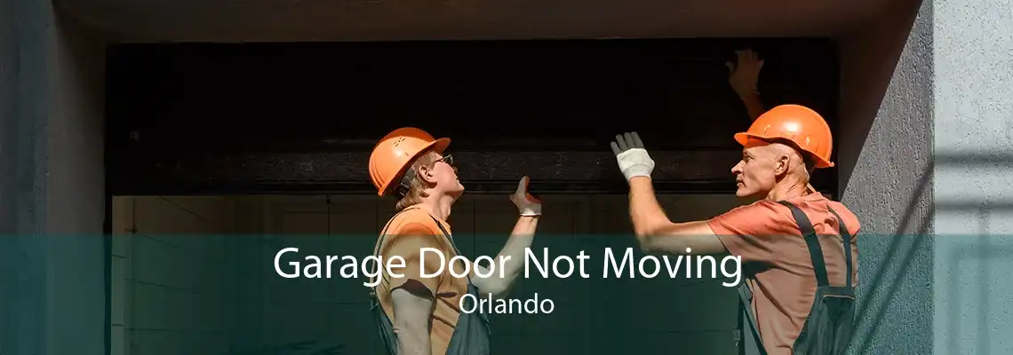 Garage Door Not Moving Orlando