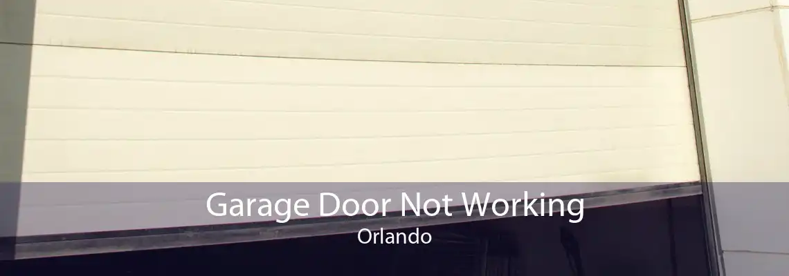 Garage Door Not Working Orlando