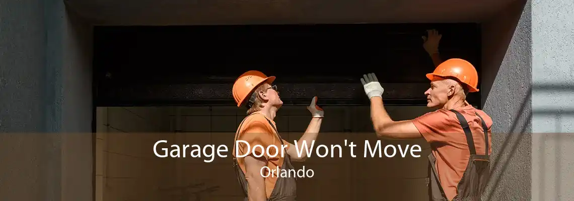 Garage Door Won't Move Orlando
