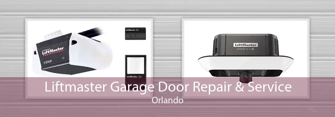 Liftmaster Garage Door Repair & Service Orlando